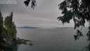./images/koeye/fitz-hugh/20250830/fitz-hugh20250830_195509M.jpg