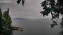 ./images/koeye/fitz-hugh/20250830/fitz-hugh20250830_200509M.jpg