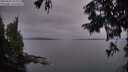 ./images/koeye/fitz-hugh/20250830/fitz-hugh20250830_204009M.jpg