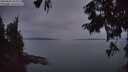 ./images/koeye/fitz-hugh/20250830/fitz-hugh20250830_205008M.jpg