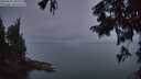 ./images/koeye/fitz-hugh/20250831/fitz-hugh20250831_062011M.jpg