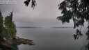 ./images/koeye/fitz-hugh/20250831/fitz-hugh20250831_081009M.jpg