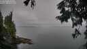 ./images/koeye/fitz-hugh/20250831/fitz-hugh20250831_084511M.jpg
