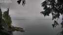 ./images/koeye/fitz-hugh/20250831/fitz-hugh20250831_085010M.jpg
