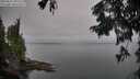./images/koeye/fitz-hugh/20250831/fitz-hugh20250831_091511M.jpg