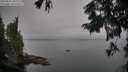 ./images/koeye/fitz-hugh/20250831/fitz-hugh20250831_092011M.jpg