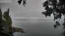 ./images/koeye/fitz-hugh/20250831/fitz-hugh20250831_093011M.jpg