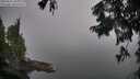 ./images/koeye/fitz-hugh/20250831/fitz-hugh20250831_105009M.jpg