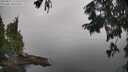 ./images/koeye/fitz-hugh/20250831/fitz-hugh20250831_111510M.jpg