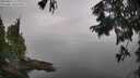 ./images/koeye/fitz-hugh/20250831/fitz-hugh20250831_112011M.jpg
