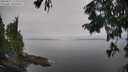 ./images/koeye/fitz-hugh/20250831/fitz-hugh20250831_120012M.jpg