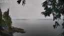 ./images/koeye/fitz-hugh/20250831/fitz-hugh20250831_120506M.jpg