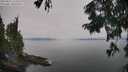 ./images/koeye/fitz-hugh/20250831/fitz-hugh20250831_122509M.jpg