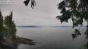 ./images/koeye/fitz-hugh/20250831/fitz-hugh20250831_130510M.jpg