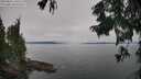 ./images/koeye/fitz-hugh/20250831/fitz-hugh20250831_131010M.jpg