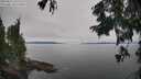 ./images/koeye/fitz-hugh/20250831/fitz-hugh20250831_132510M.jpg