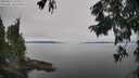 ./images/koeye/fitz-hugh/20250831/fitz-hugh20250831_133012M.jpg