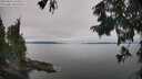 ./images/koeye/fitz-hugh/20250831/fitz-hugh20250831_134511M.jpg