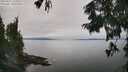./images/koeye/fitz-hugh/20250831/fitz-hugh20250831_135011M.jpg