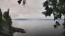 ./images/koeye/fitz-hugh/20250831/fitz-hugh20250831_135510M.jpg