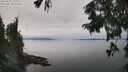 ./images/koeye/fitz-hugh/20250831/fitz-hugh20250831_140012M.jpg