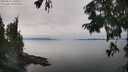 ./images/koeye/fitz-hugh/20250831/fitz-hugh20250831_140510M.jpg