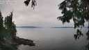 ./images/koeye/fitz-hugh/20250831/fitz-hugh20250831_141009M.jpg