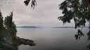 ./images/koeye/fitz-hugh/20250831/fitz-hugh20250831_141511M.jpg