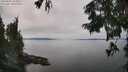 ./images/koeye/fitz-hugh/20250831/fitz-hugh20250831_143009M.jpg