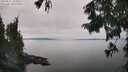 ./images/koeye/fitz-hugh/20250831/fitz-hugh20250831_144510M.jpg