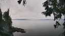 ./images/koeye/fitz-hugh/20250831/fitz-hugh20250831_145011M.jpg