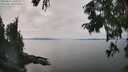 ./images/koeye/fitz-hugh/20250831/fitz-hugh20250831_150011M.jpg