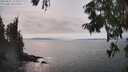 ./images/koeye/fitz-hugh/20250831/fitz-hugh20250831_154509M.jpg