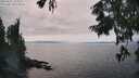 ./images/koeye/fitz-hugh/20250831/fitz-hugh20250831_155011M.jpg