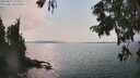 ./images/koeye/fitz-hugh/20250831/fitz-hugh20250831_160012M.jpg