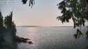 ./images/koeye/fitz-hugh/20250831/fitz-hugh20250831_160509M.jpg