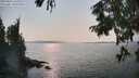 ./images/koeye/fitz-hugh/20250831/fitz-hugh20250831_161010M.jpg