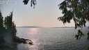 ./images/koeye/fitz-hugh/20250831/fitz-hugh20250831_161511M.jpg