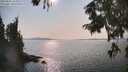 ./images/koeye/fitz-hugh/20250831/fitz-hugh20250831_163012M.jpg