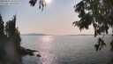 ./images/koeye/fitz-hugh/20250831/fitz-hugh20250831_163510M.jpg