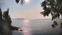 ./images/koeye/fitz-hugh/20250831/fitz-hugh20250831_164010M.jpg