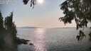 ./images/koeye/fitz-hugh/20250831/fitz-hugh20250831_164511M.jpg