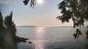 ./images/koeye/fitz-hugh/20250831/fitz-hugh20250831_165010M.jpg