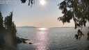 ./images/koeye/fitz-hugh/20250831/fitz-hugh20250831_170010M.jpg