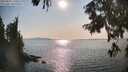./images/koeye/fitz-hugh/20250831/fitz-hugh20250831_170510M.jpg