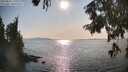 ./images/koeye/fitz-hugh/20250831/fitz-hugh20250831_171010M.jpg