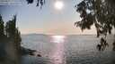 ./images/koeye/fitz-hugh/20250831/fitz-hugh20250831_171511M.jpg