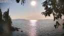 ./images/koeye/fitz-hugh/20250831/fitz-hugh20250831_172009M.jpg