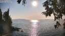 ./images/koeye/fitz-hugh/20250831/fitz-hugh20250831_172509M.jpg