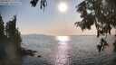 ./images/koeye/fitz-hugh/20250831/fitz-hugh20250831_173010M.jpg